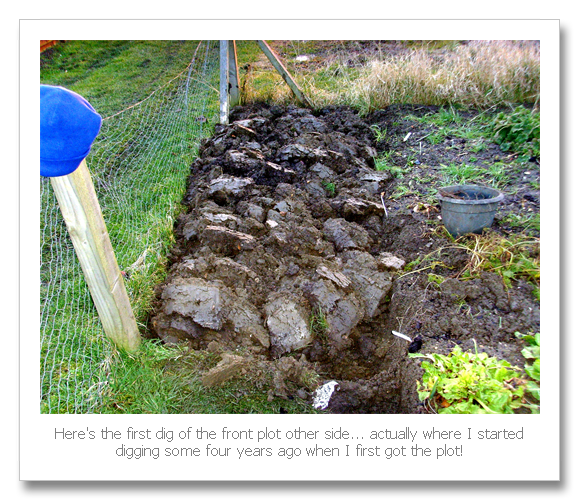Allotment Heaven How to make a rat proof chicken feeder